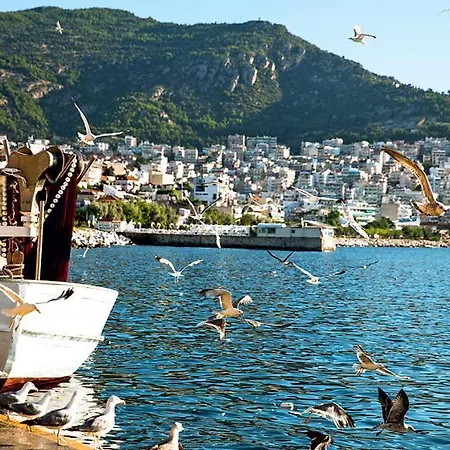 Dimis Kavala